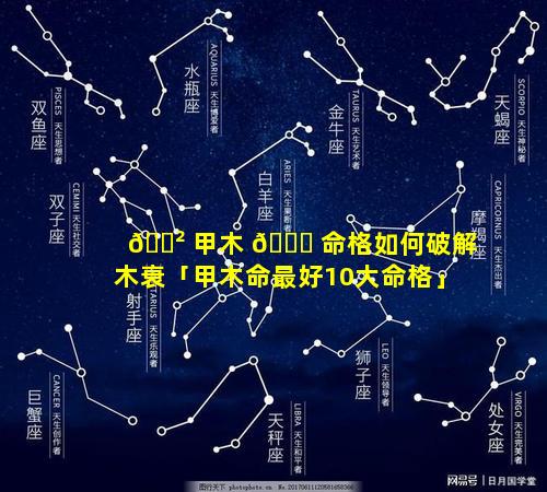 🌲 甲木 🍀 命格如何破解木衰「甲木命最好10大命格」
